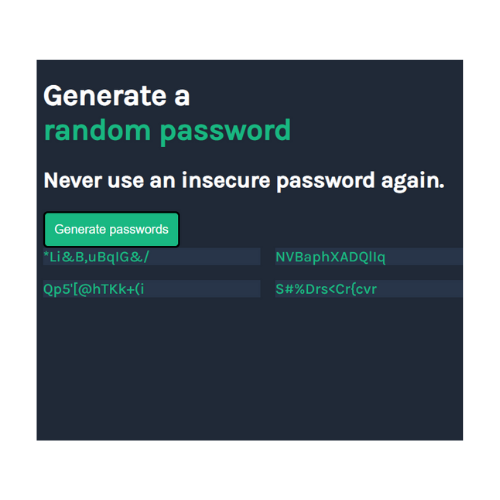 Password Project